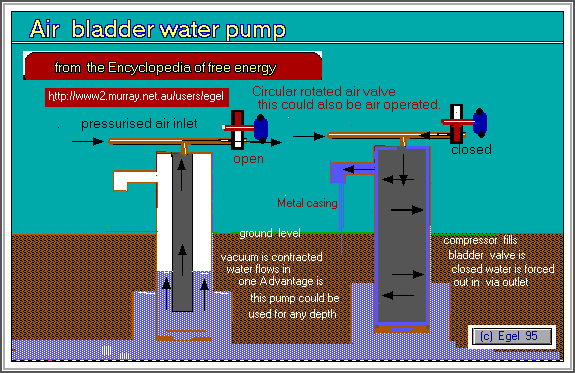  The air bladder pump  